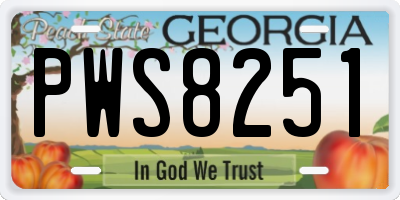 GA license plate PWS8251