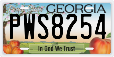 GA license plate PWS8254