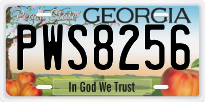 GA license plate PWS8256