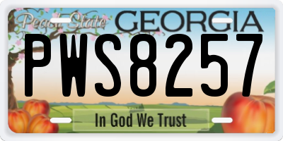 GA license plate PWS8257