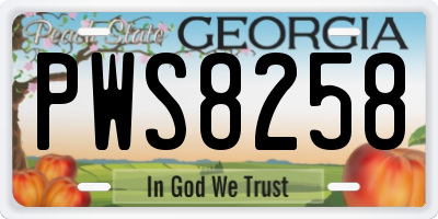 GA license plate PWS8258