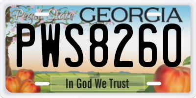 GA license plate PWS8260
