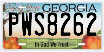 GA license plate PWS8262