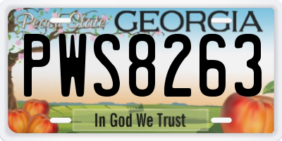 GA license plate PWS8263