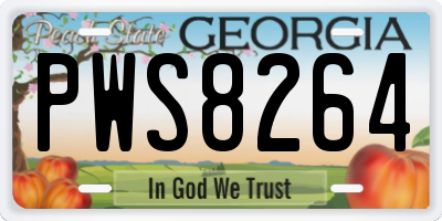 GA license plate PWS8264