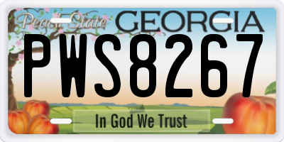 GA license plate PWS8267