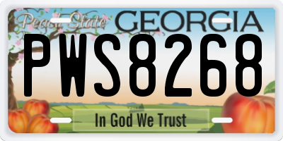 GA license plate PWS8268