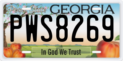 GA license plate PWS8269