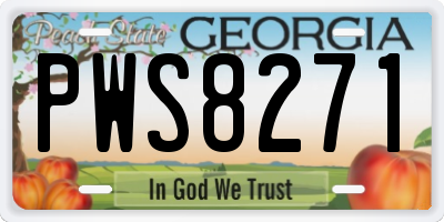 GA license plate PWS8271