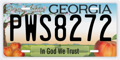 GA license plate PWS8272