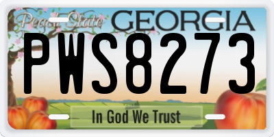 GA license plate PWS8273