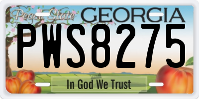 GA license plate PWS8275