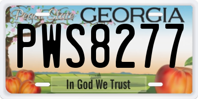 GA license plate PWS8277