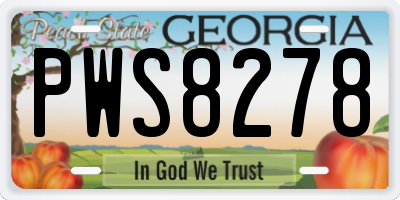 GA license plate PWS8278