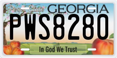 GA license plate PWS8280