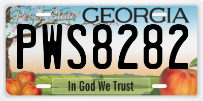 GA license plate PWS8282