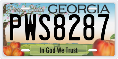 GA license plate PWS8287