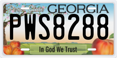 GA license plate PWS8288
