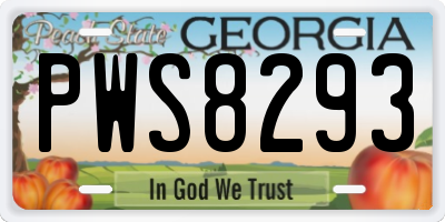 GA license plate PWS8293