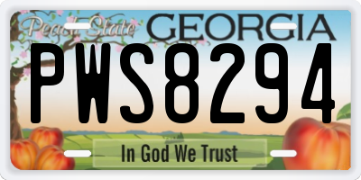 GA license plate PWS8294