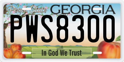 GA license plate PWS8300