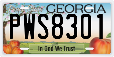 GA license plate PWS8301