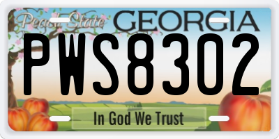 GA license plate PWS8302
