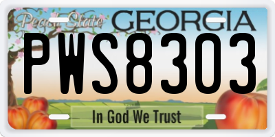 GA license plate PWS8303