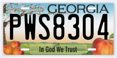 GA license plate PWS8304