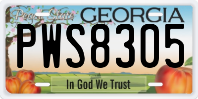 GA license plate PWS8305