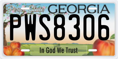 GA license plate PWS8306