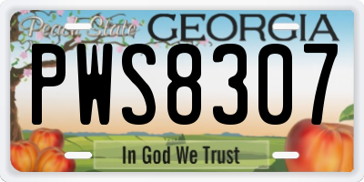 GA license plate PWS8307