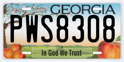 GA license plate PWS8308