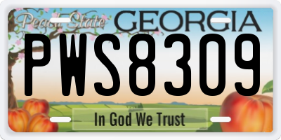 GA license plate PWS8309