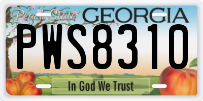 GA license plate PWS8310