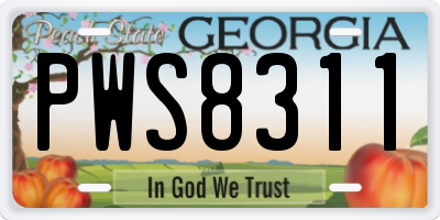 GA license plate PWS8311