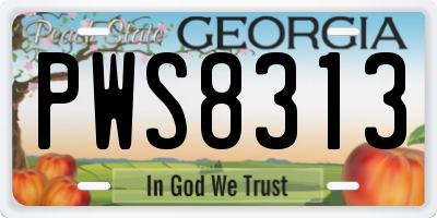 GA license plate PWS8313