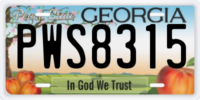 GA license plate PWS8315