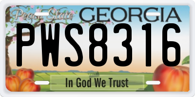 GA license plate PWS8316