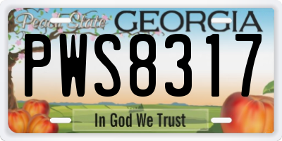 GA license plate PWS8317