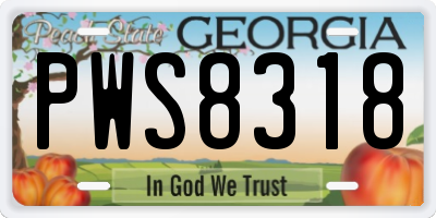 GA license plate PWS8318