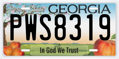 GA license plate PWS8319