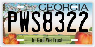 GA license plate PWS8322