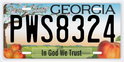 GA license plate PWS8324