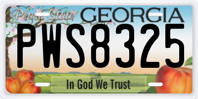 GA license plate PWS8325