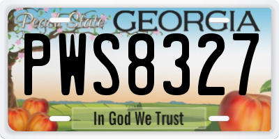 GA license plate PWS8327