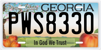 GA license plate PWS8330
