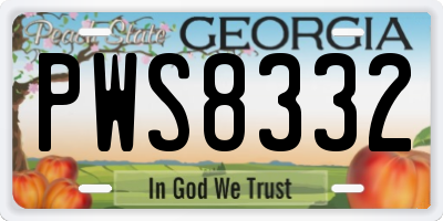 GA license plate PWS8332