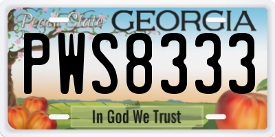 GA license plate PWS8333