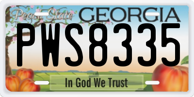 GA license plate PWS8335